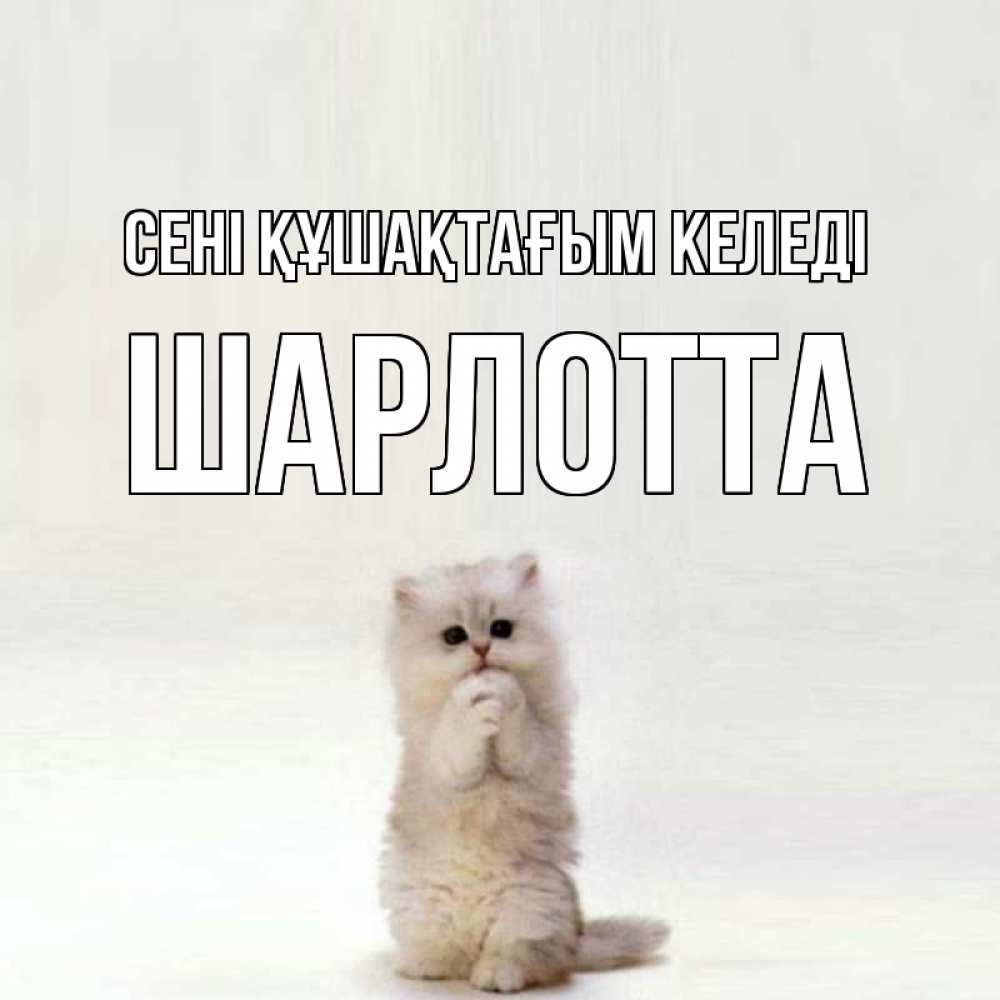 Күн сайын ашық хат с именем, Шарлотта сені құшақтағым келеді открытки с креативными подписями Онлайн тегін жүктеп алу тілектері бар керемет карта 