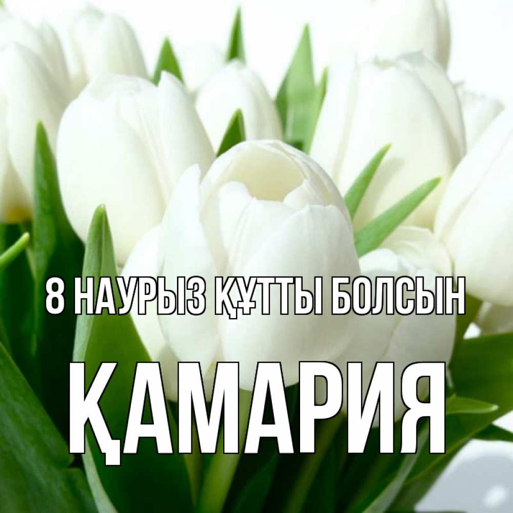 Күн сайын ашық хат с именем, ҚАМАРИЯ 8 наурыз құтты болсын цветы Онлайн тегін жүктеп алу тілектері бар керемет карта 