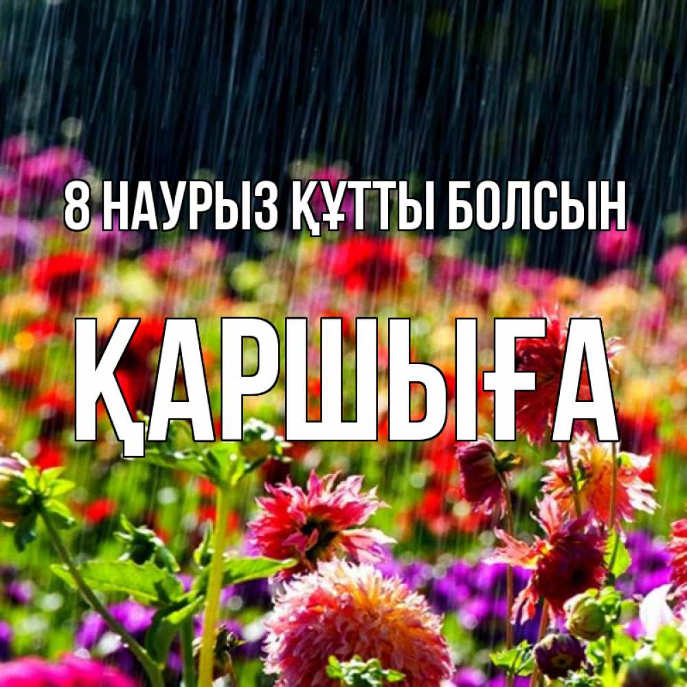Күн сайын ашық хат с именем, Қаршыға 8 наурыз құтты болсын цветы под дождиком к международному женскому дню Онлайн тегін жүктеп алу тілектері бар керемет карта 