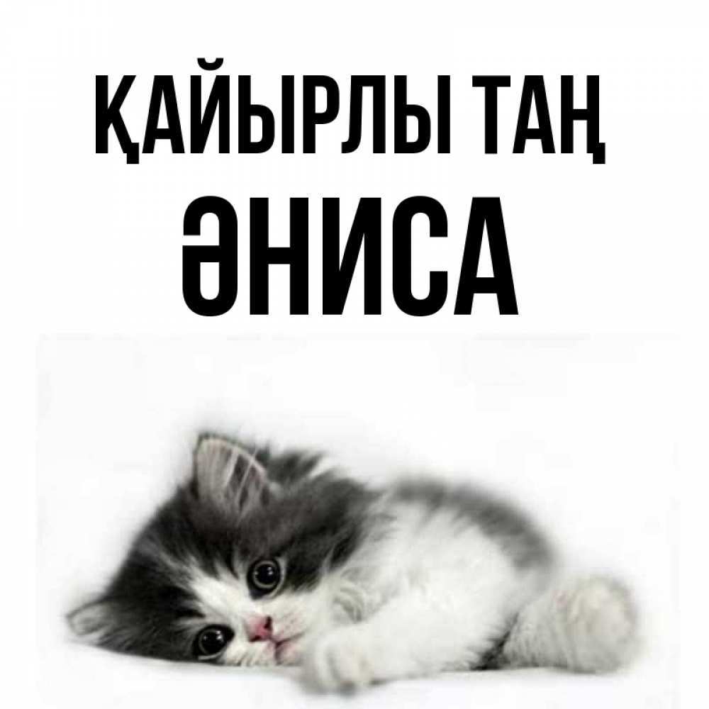 Күн сайын ашық хат с именем, ӘНИСА Қайырлы таң кот лапки Онлайн тегін жүктеп алу тілектері бар керемет карта 