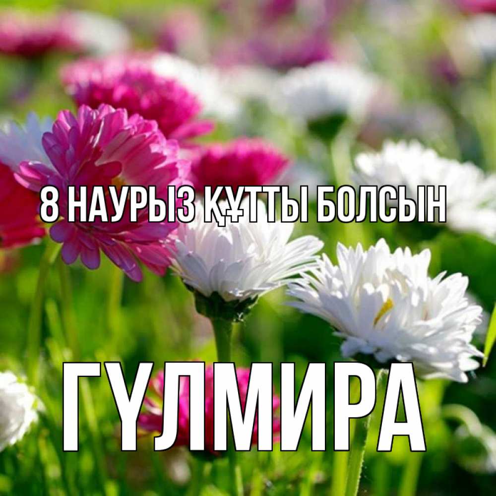 Күн сайын ашық хат с именем, ГҮЛМИРА 8 наурыз құтты болсын международный женский день 1 Онлайн тегін жүктеп алу тілектері бар керемет карта 