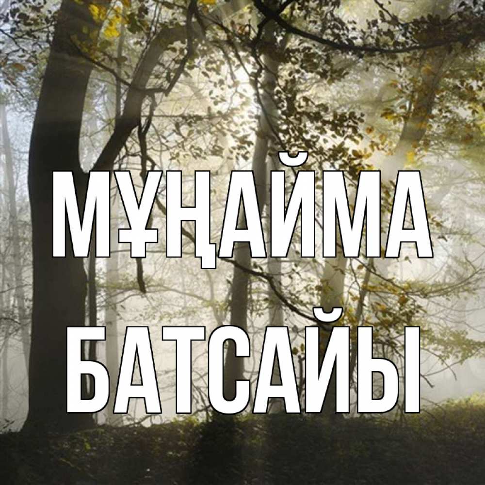 Күн сайын ашық хат с именем, Батсайы Мұңайма лес и свет Онлайн тегін жүктеп алу тілектері бар керемет карта 