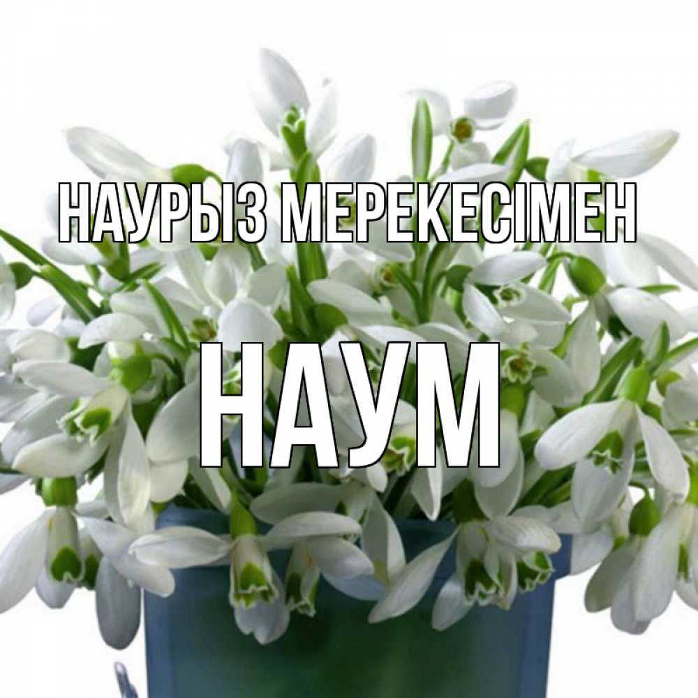 Күн сайын ашық хат с именем, Наум Наурыз мерекесімен цветы к наурызу новый год в Казахстане Онлайн тегін жүктеп алу тілектері бар керемет карта 