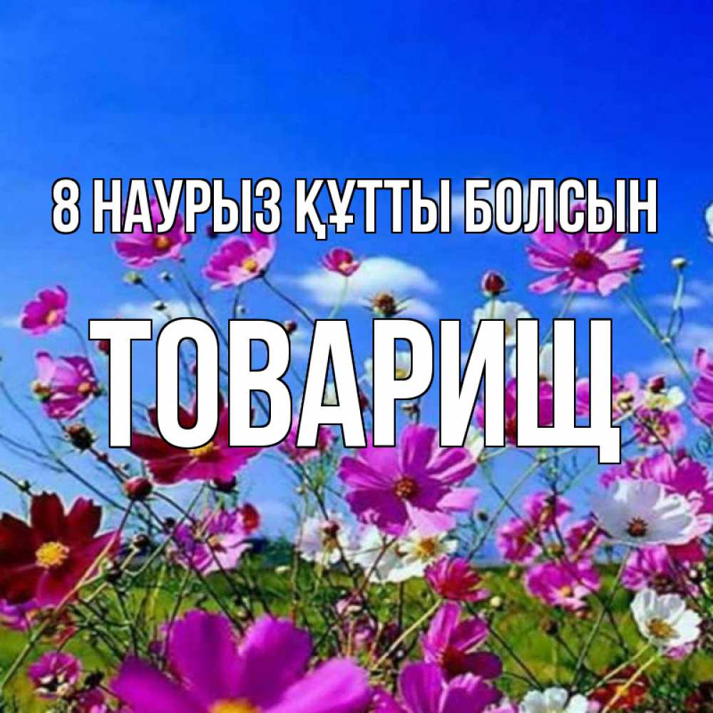 Күн сайын ашық хат с именем, Товарищ 8 наурыз құтты болсын цветы Онлайн тегін жүктеп алу тілектері бар керемет карта 
