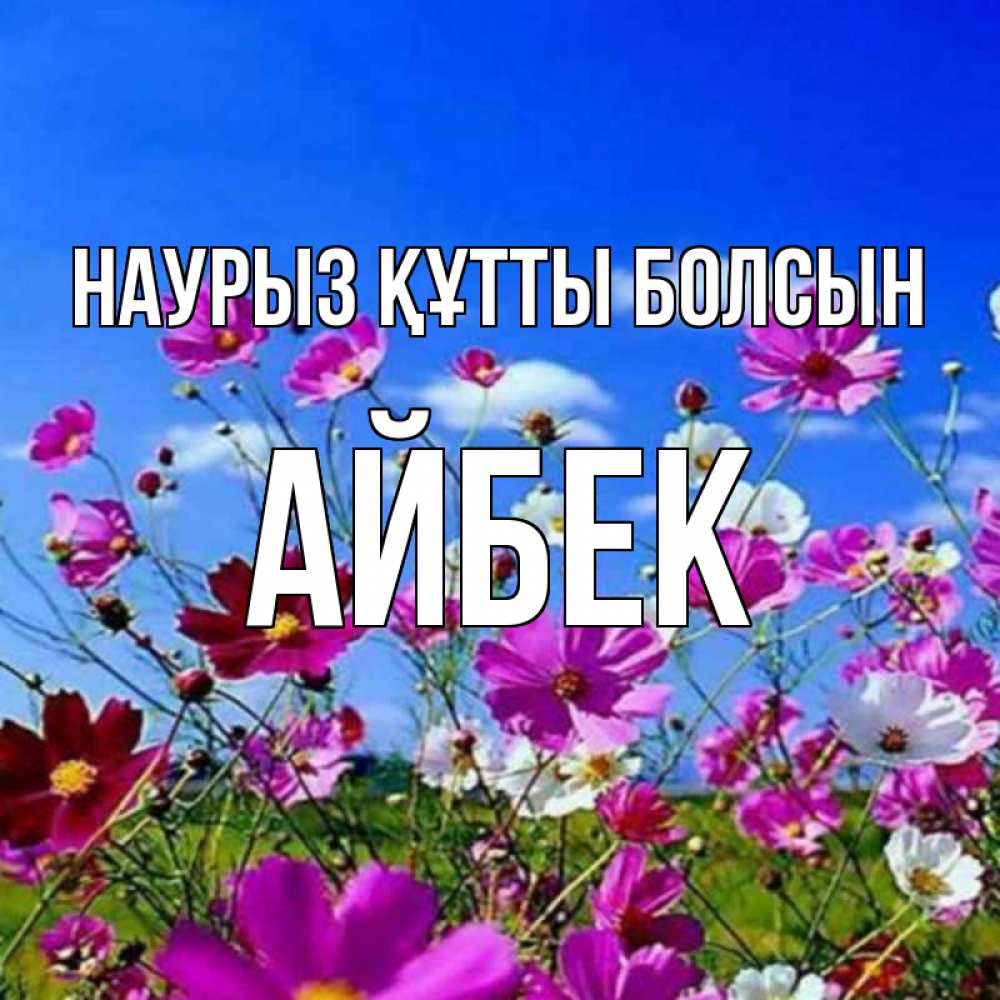 Күн сайын ашық хат с именем, Айбек Наурыз құтты болсын цветы Онлайн тегін жүктеп алу тілектері бар керемет карта 
