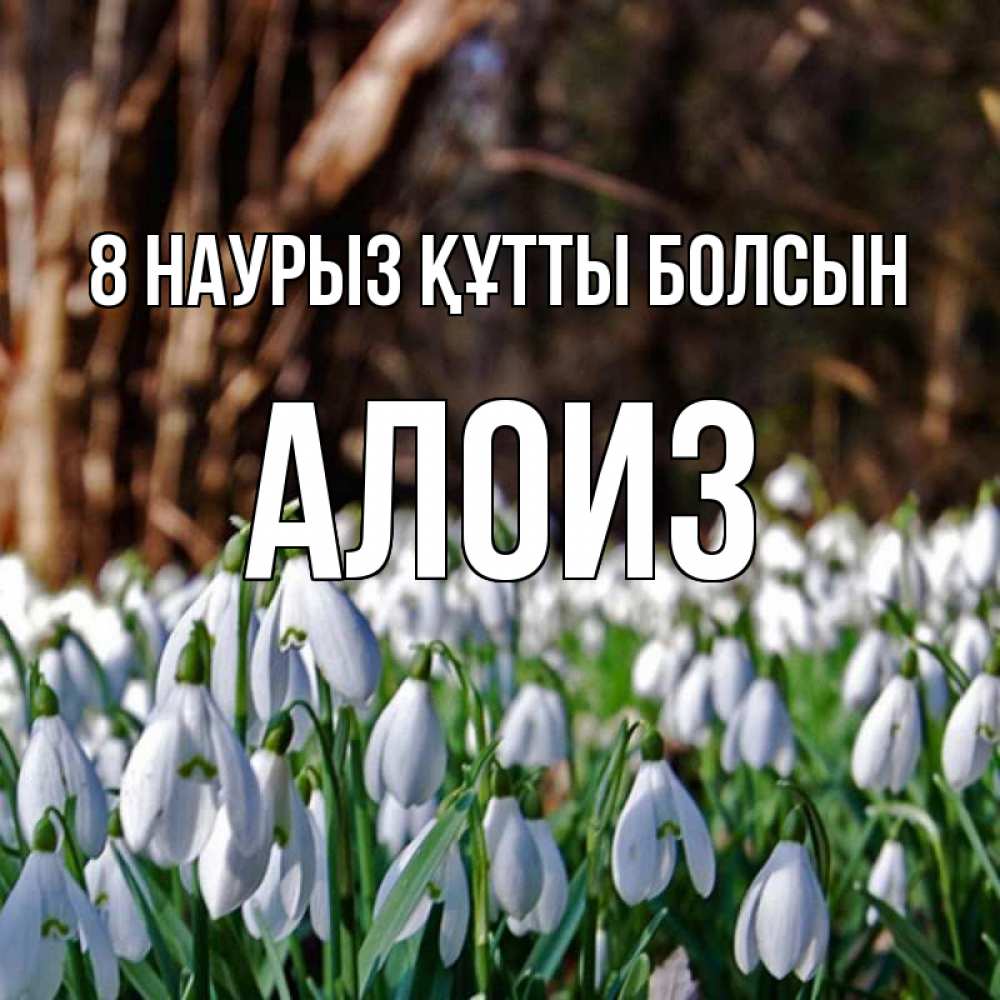 Күн сайын ашық хат с именем, Алоиз 8 наурыз құтты болсын с подснежниками 1 Онлайн тегін жүктеп алу тілектері бар керемет карта 