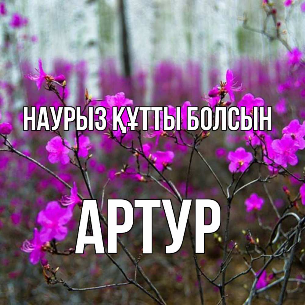 Күн сайын ашық хат с именем, Артур Наурыз құтты болсын дикие цветы Онлайн тегін жүктеп алу тілектері бар керемет карта 