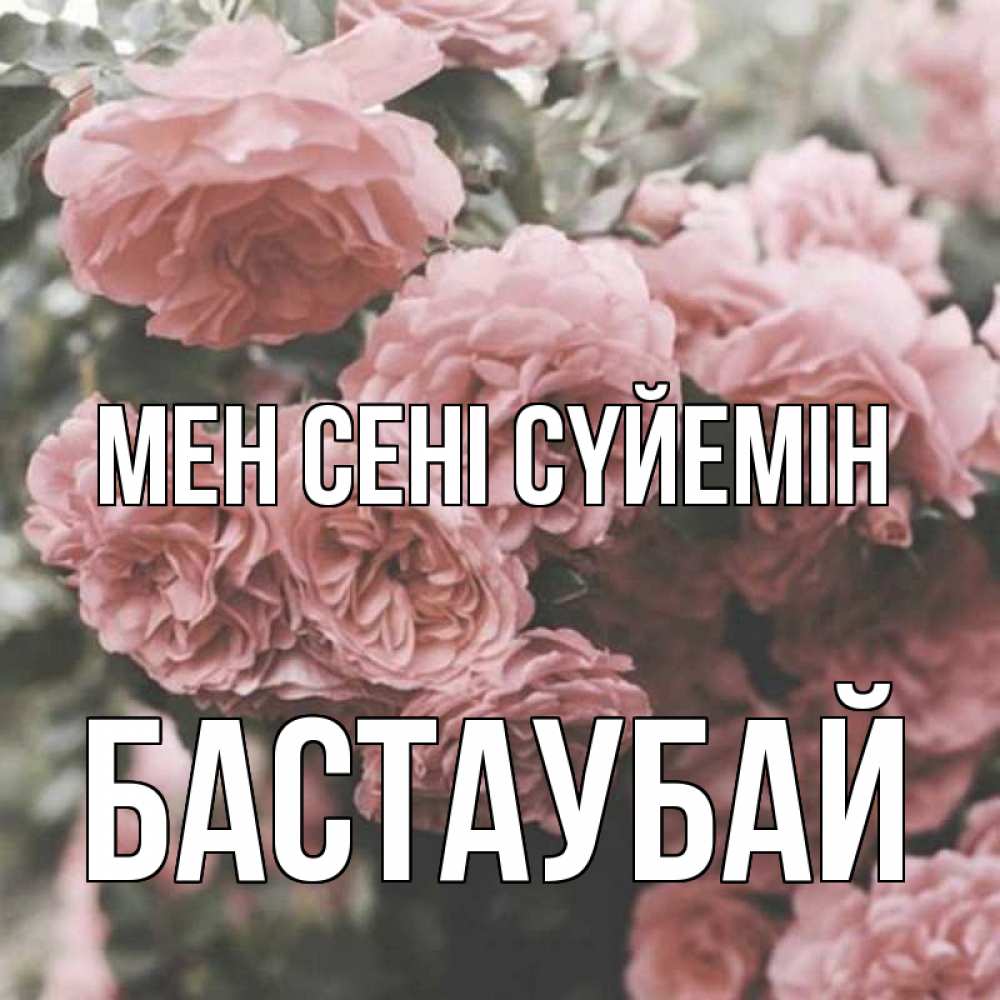 Күн сайын ашық хат с именем, Бастаубай Мен сені сүйемін розы 3 Онлайн тегін жүктеп алу тілектері бар керемет карта 