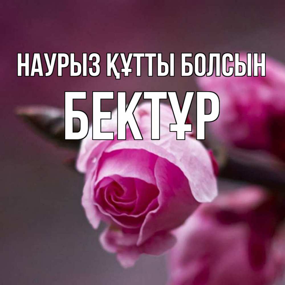 Күн сайын ашық хат с именем, Бектұр Наурыз құтты болсын весна Онлайн тегін жүктеп алу тілектері бар керемет карта 
