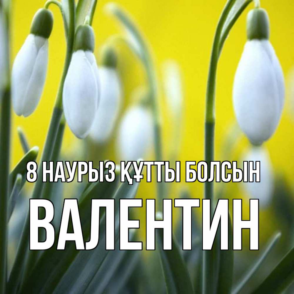Күн сайын ашық хат с именем, Валентин 8 наурыз құтты болсын весенние цветы Онлайн тегін жүктеп алу тілектері бар керемет карта 