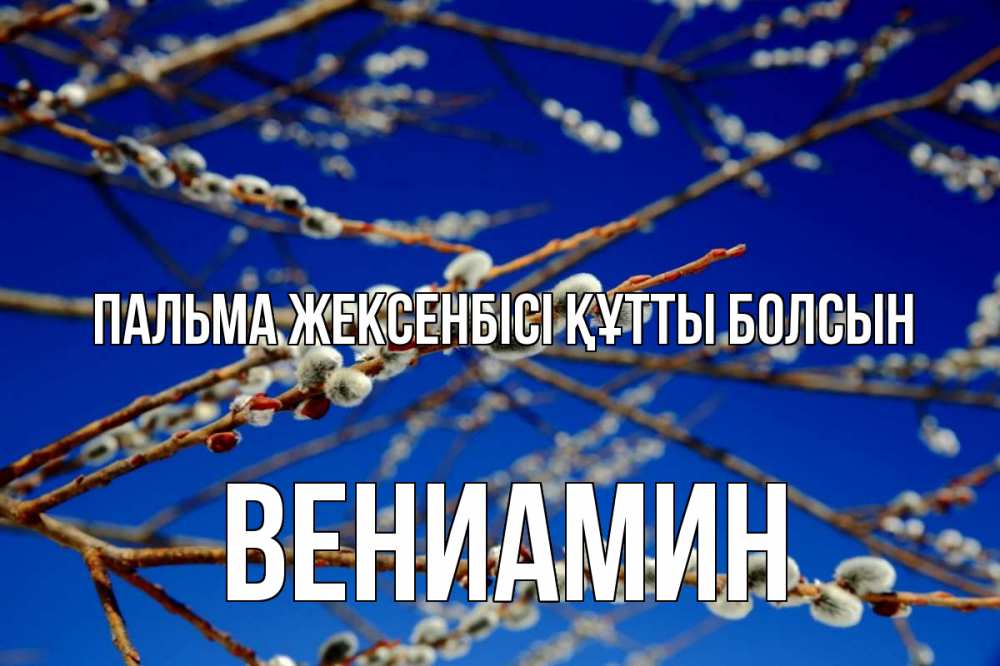 Күн сайын ашық хат с именем, Вениамин Пальма жексенбісі құтты болсын верба Онлайн тегін жүктеп алу тілектері бар керемет карта 