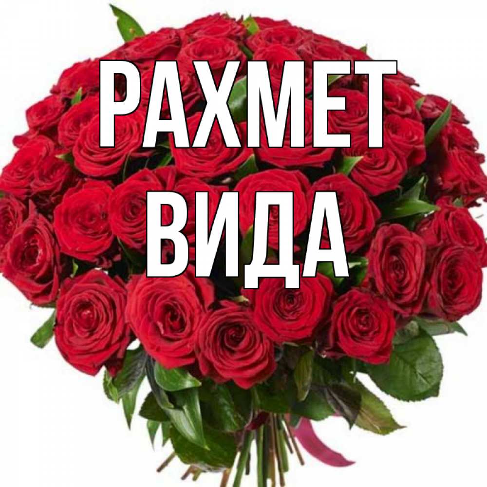 Күн сайын ашық хат с именем, Вида рахмет букет красных роз Онлайн тегін жүктеп алу тілектері бар керемет карта 