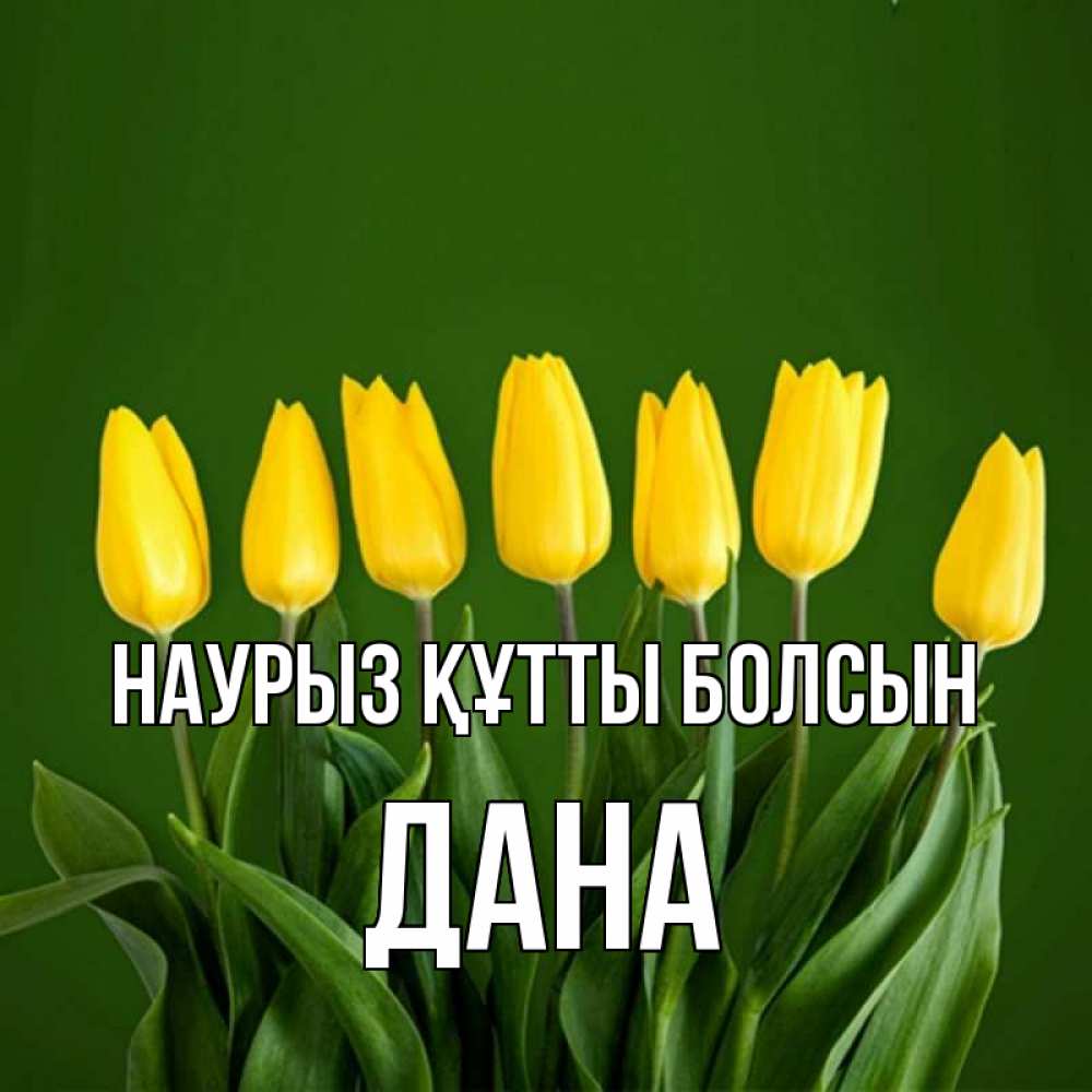 Күн сайын ашық хат с именем, ДАНА Наурыз құтты болсын желтого цвета 3 Онлайн тегін жүктеп алу тілектері бар керемет карта 