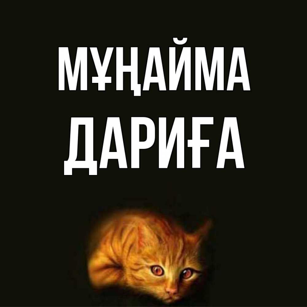 Күн сайын ашық хат с именем, ДАРИҒА Мұңайма лежащий кот в темноте Онлайн тегін жүктеп алу тілектері бар керемет карта 