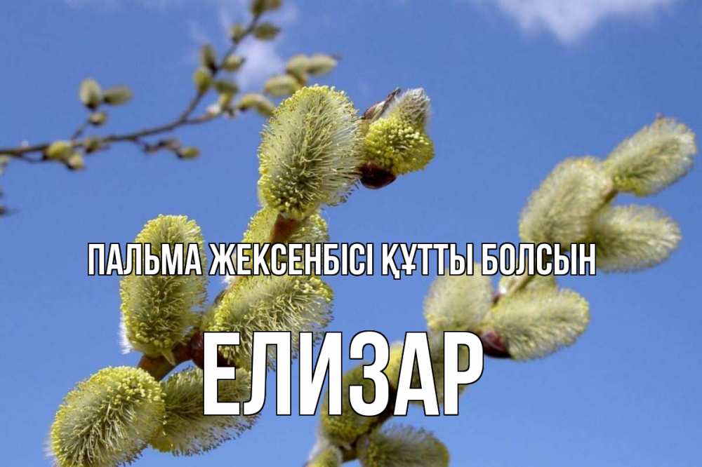 Күн сайын ашық хат с именем, Елизар Пальма жексенбісі құтты болсын верба Онлайн тегін жүктеп алу тілектері бар керемет карта 