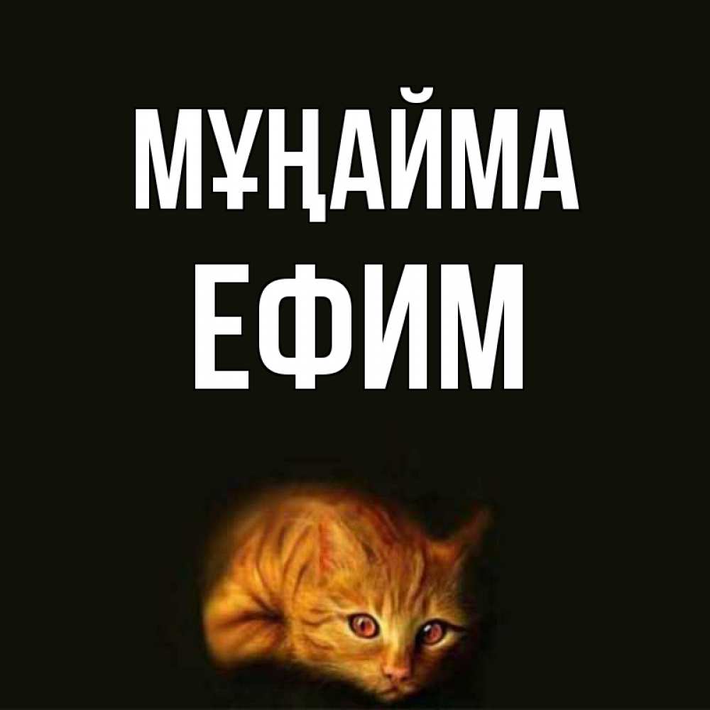 Күн сайын ашық хат с именем, Ефим Мұңайма лежащий кот в темноте Онлайн тегін жүктеп алу тілектері бар керемет карта 