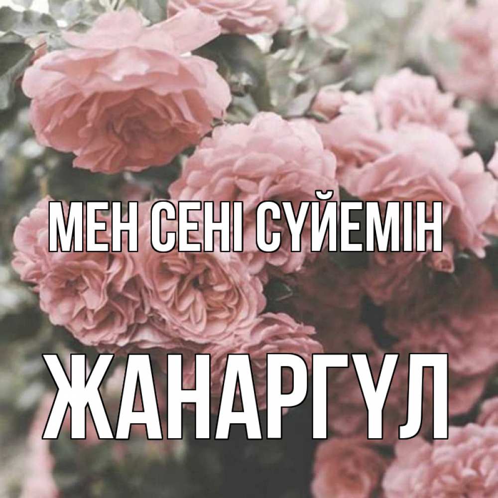 Күн сайын ашық хат с именем, ЖАНАРГҮЛ Мен сені сүйемін розы 3 Онлайн тегін жүктеп алу тілектері бар керемет карта 