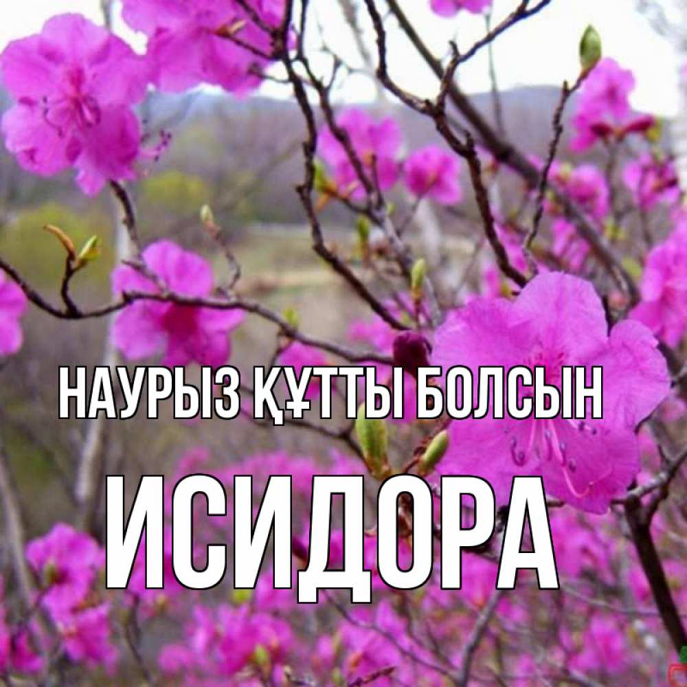 Күн сайын ашық хат с именем, Исидора Наурыз құтты болсын наурыз мейрамы кутты болсын Онлайн тегін жүктеп алу тілектері бар керемет карта 