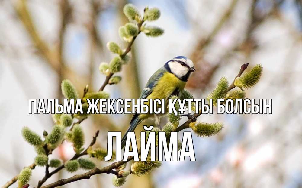 Күн сайын ашық хат с именем, Лайма Пальма жексенбісі құтты болсын верба Онлайн тегін жүктеп алу тілектері бар керемет карта 