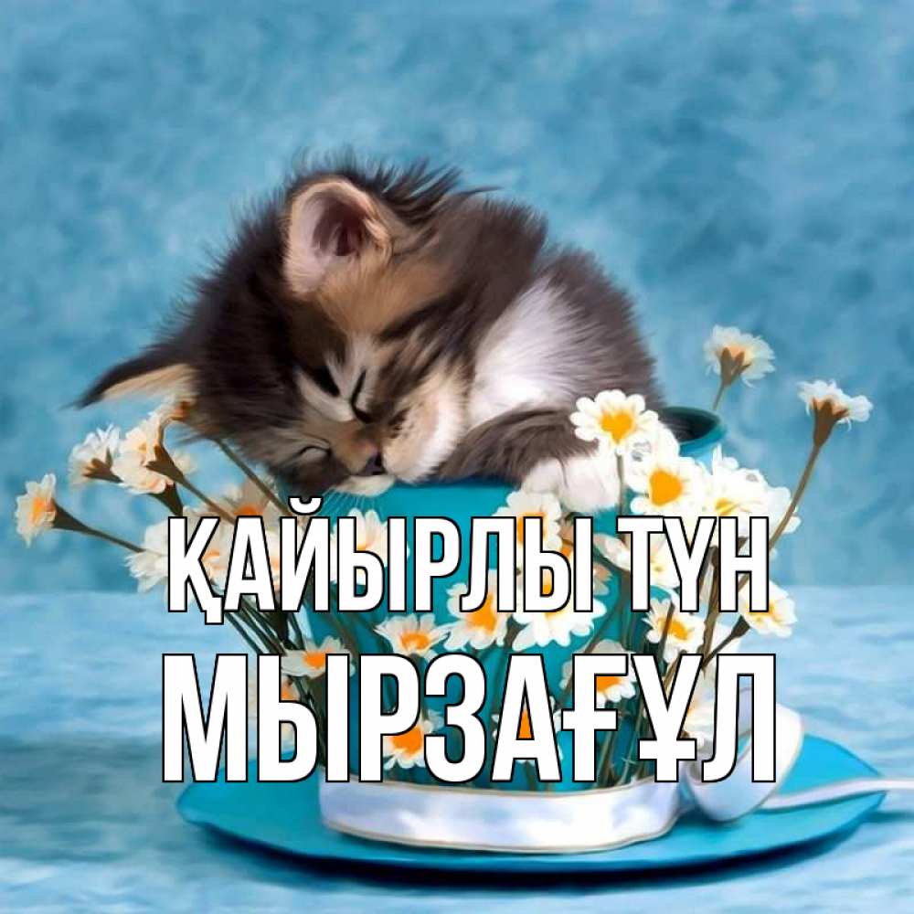 Күн сайын ашық хат с именем, Мырзағұл Қайырлы түн котенок спит в кружке с блюдцем Онлайн тегін жүктеп алу тілектері бар керемет карта 