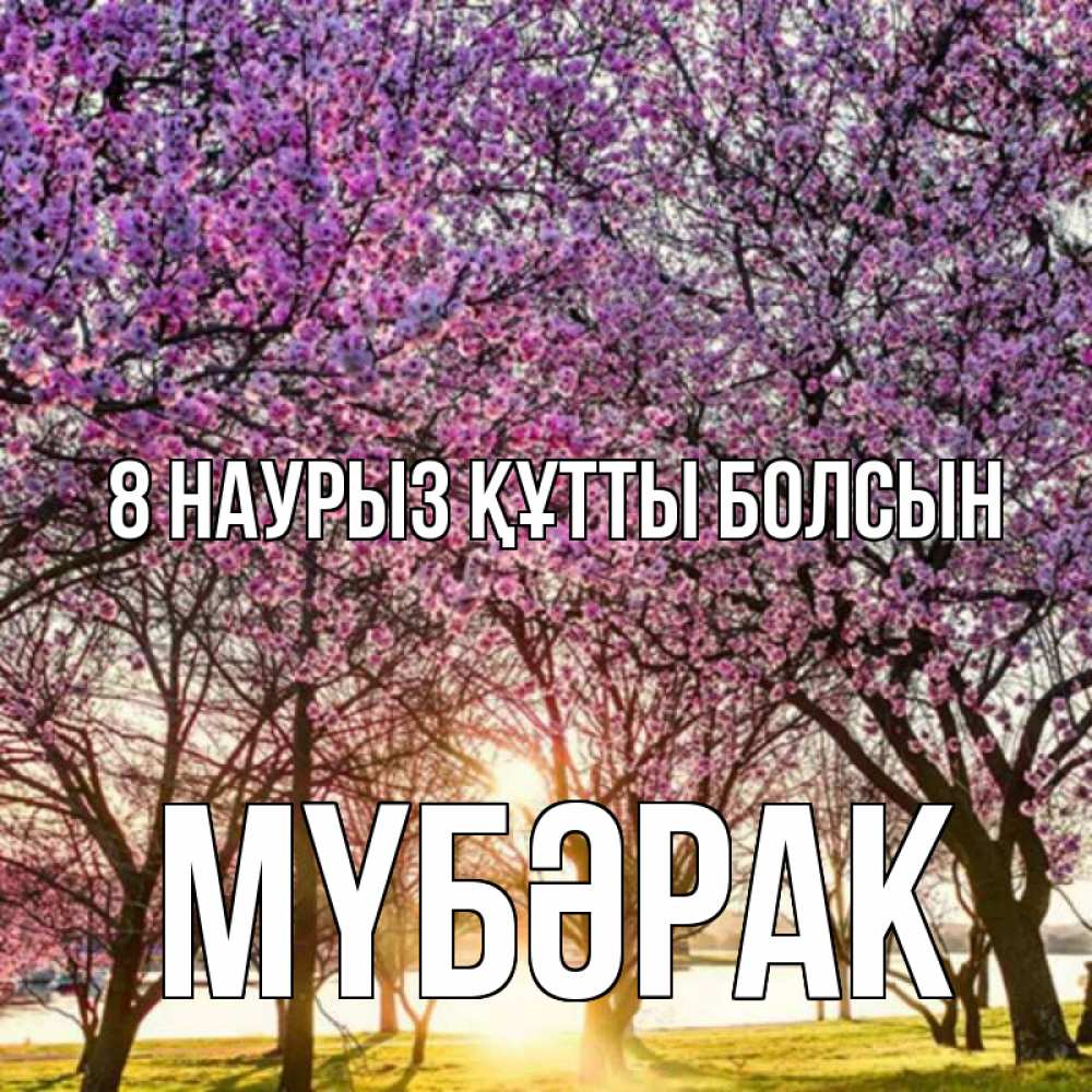 Күн сайын ашық хат с именем, МҮБӘРАК 8 наурыз құтты болсын международный женский день Онлайн тегін жүктеп алу тілектері бар керемет карта 