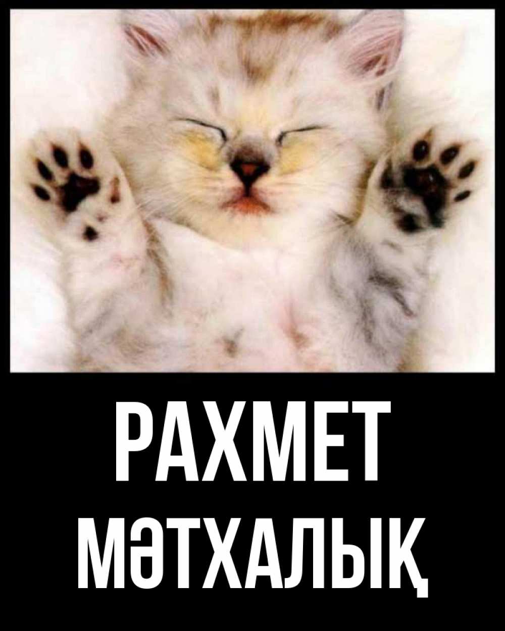 Күн сайын ашық хат с именем, МӘТХАЛЫҚ рахмет маленький котенок Онлайн тегін жүктеп алу тілектері бар керемет карта 