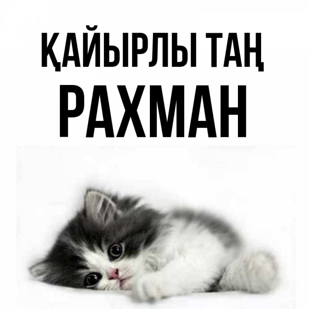 Күн сайын ашық хат с именем, РАХМАН Қайырлы таң кот лапки Онлайн тегін жүктеп алу тілектері бар керемет карта 
