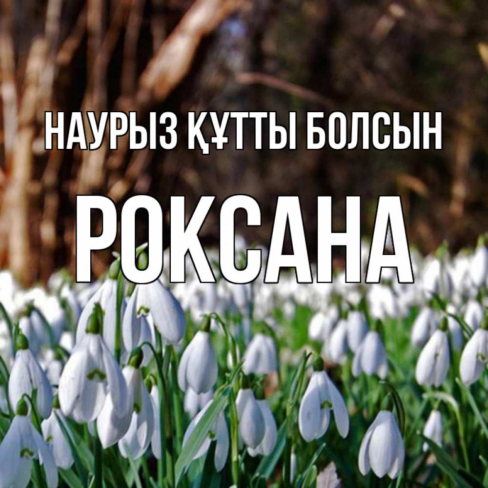 Күн сайын ашық хат с именем, Роксана Наурыз құтты болсын с подснежниками 1 Онлайн тегін жүктеп алу тілектері бар керемет карта 