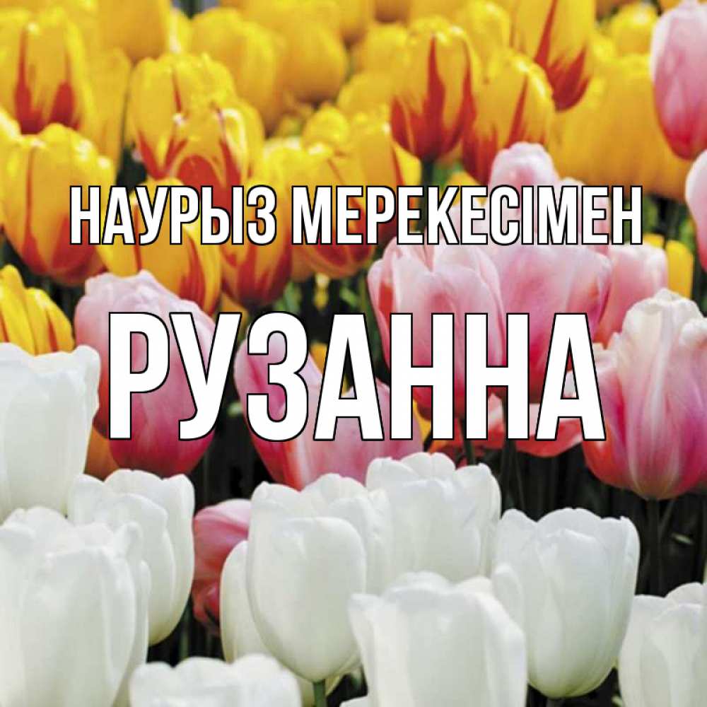 Күн сайын ашық хат с именем, Рузанна Наурыз мерекесімен разноцветные цветы Онлайн тегін жүктеп алу тілектері бар керемет карта 