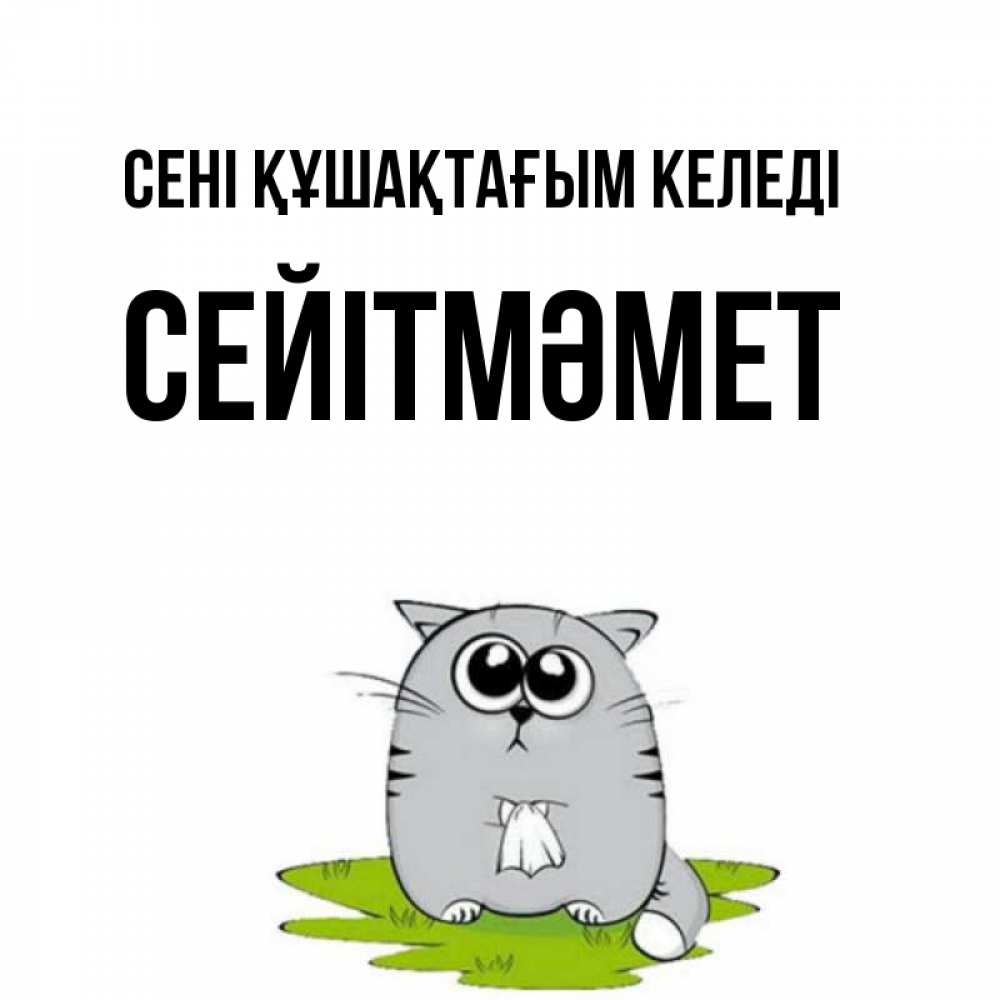 Күн сайын ашық хат с именем, СЕЙІТМӘМЕТ сені құшақтағым келеді котик теребит платочек сидя на травке Онлайн тегін жүктеп алу тілектері бар керемет карта 