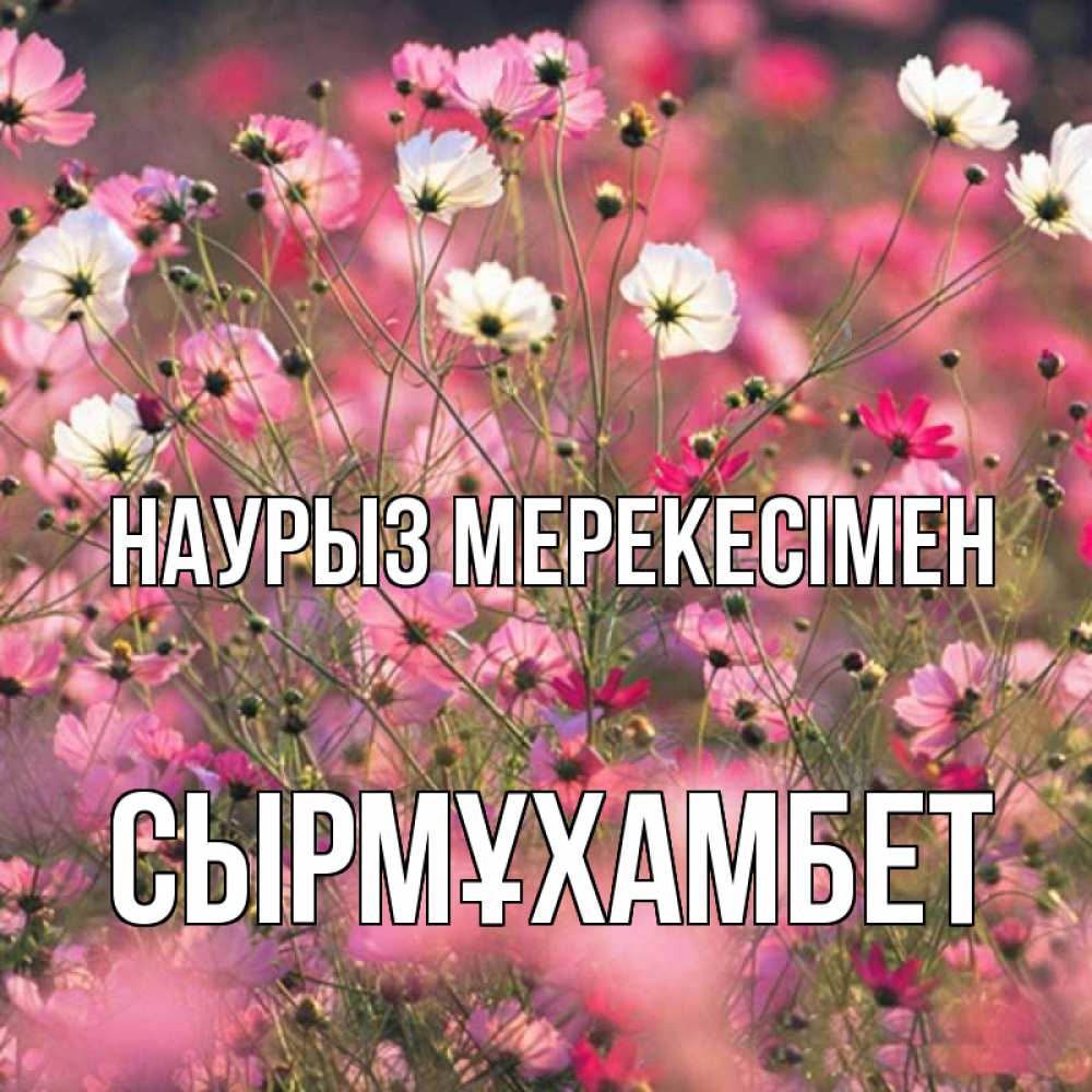 Күн сайын ашық хат с именем, СЫРМҰХАМБЕТ Наурыз мерекесімен красиво 1 Онлайн тегін жүктеп алу тілектері бар керемет карта 