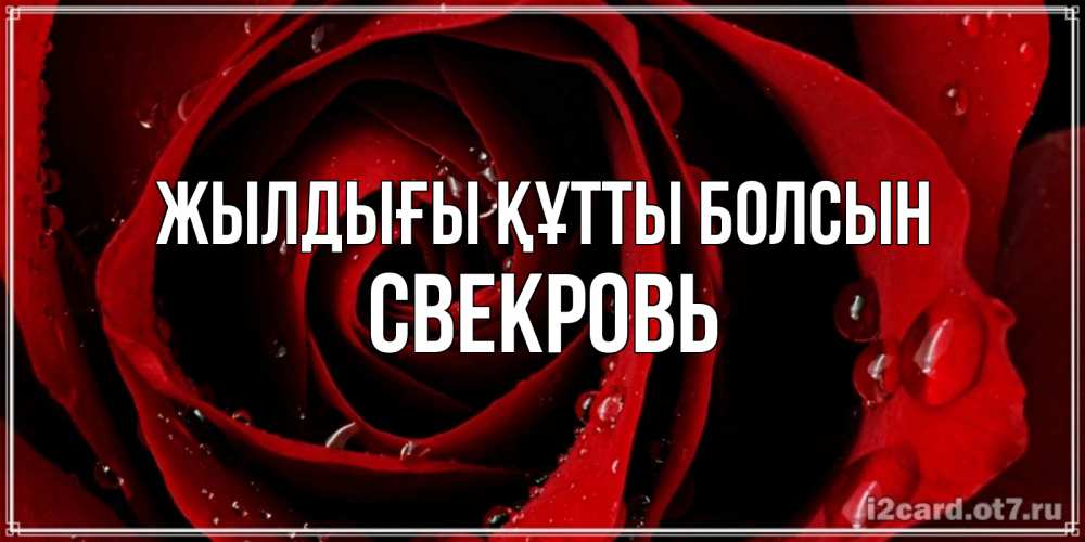 Күн сайын ашық хат с именем, Свекровь Жылдығы құтты болсын крупная бордовая роза Онлайн тегін жүктеп алу тілектері бар керемет карта 