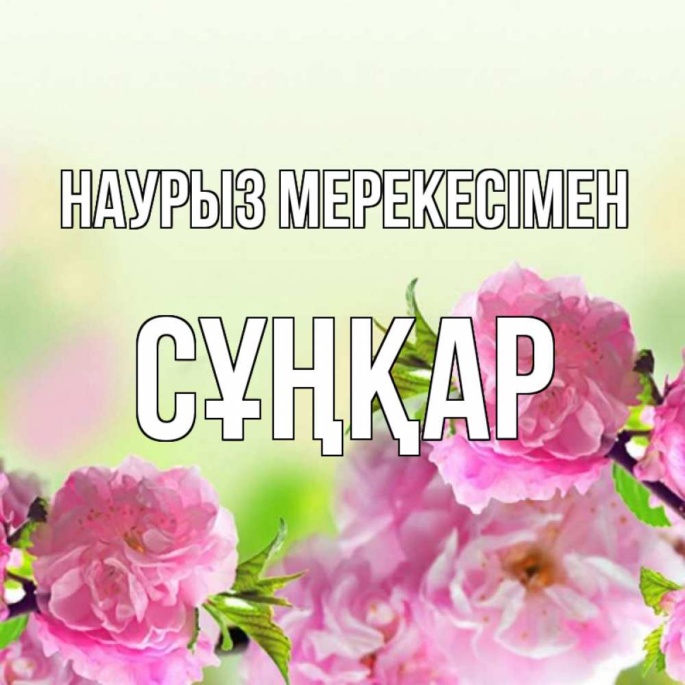 Күн сайын ашық хат с именем, СҰҢҚАР Наурыз мерекесімен цветы Онлайн тегін жүктеп алу тілектері бар керемет карта 