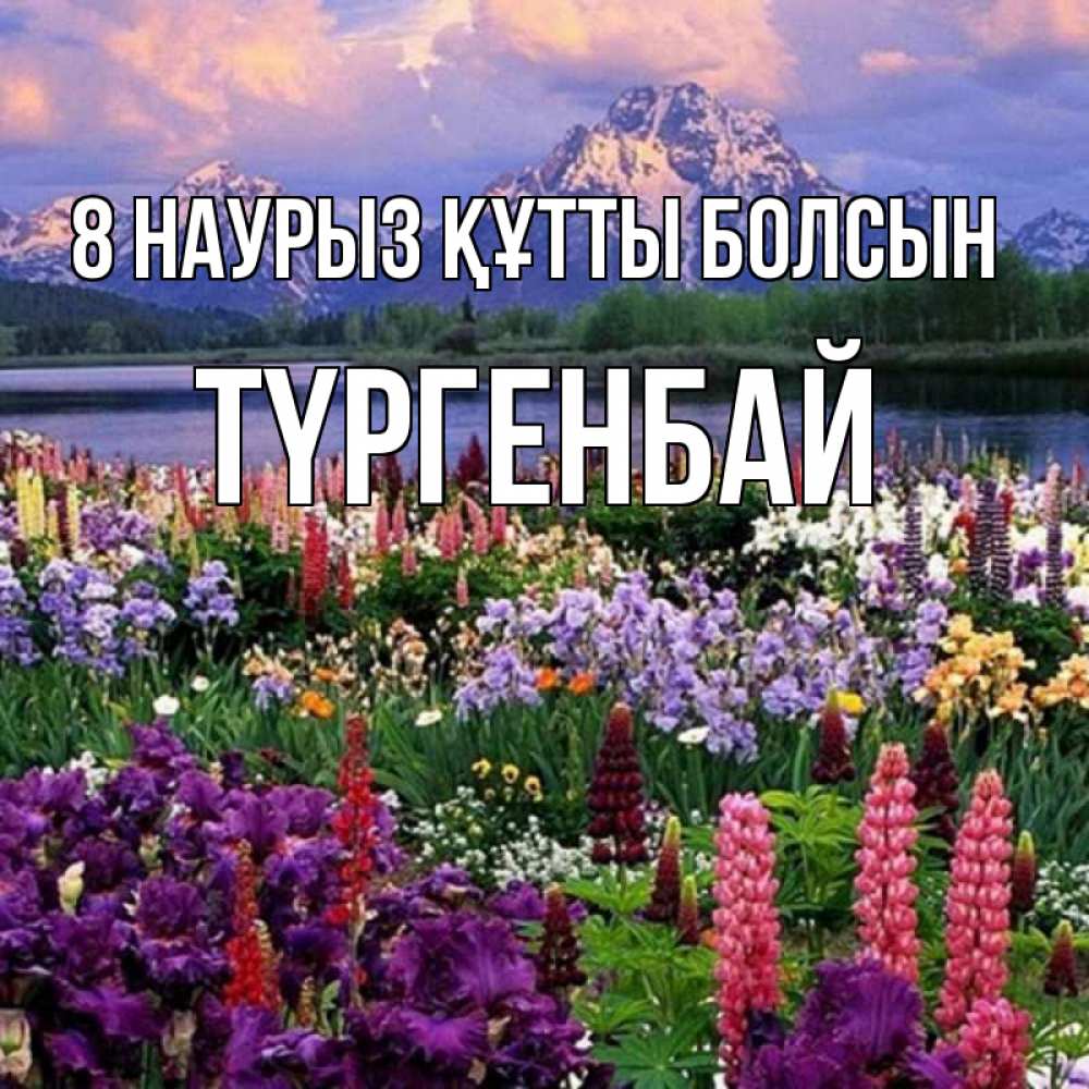 Күн сайын ашық хат с именем, ТҮРГЕНБАЙ 8 наурыз құтты болсын международный женский день Онлайн тегін жүктеп алу тілектері бар керемет карта 