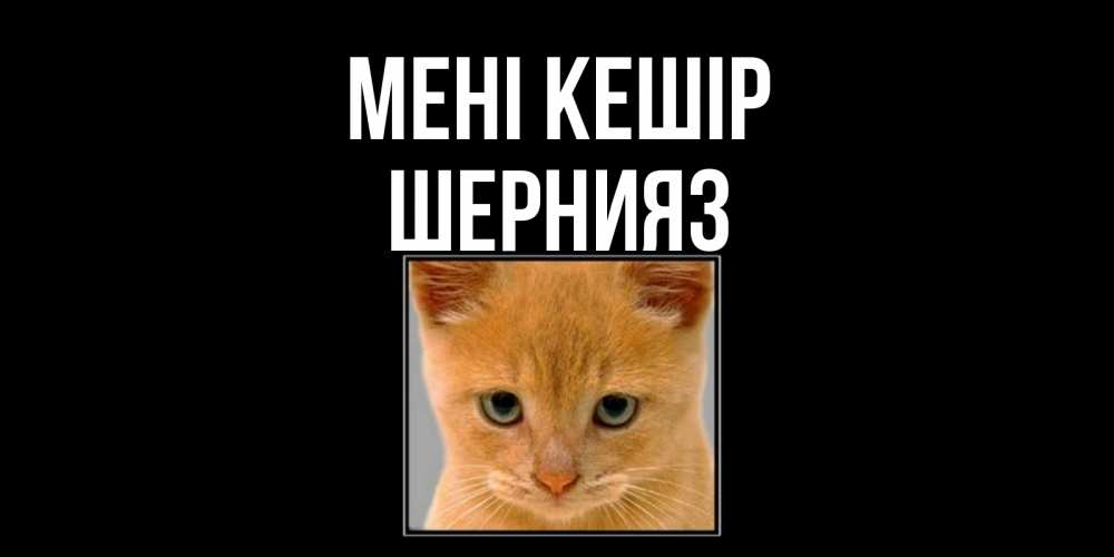 Күн сайын ашық хат с именем, ШЕРНИЯЗ Мені кешір рыжий грустный кот просит прощения Онлайн тегін жүктеп алу тілектері бар керемет карта 