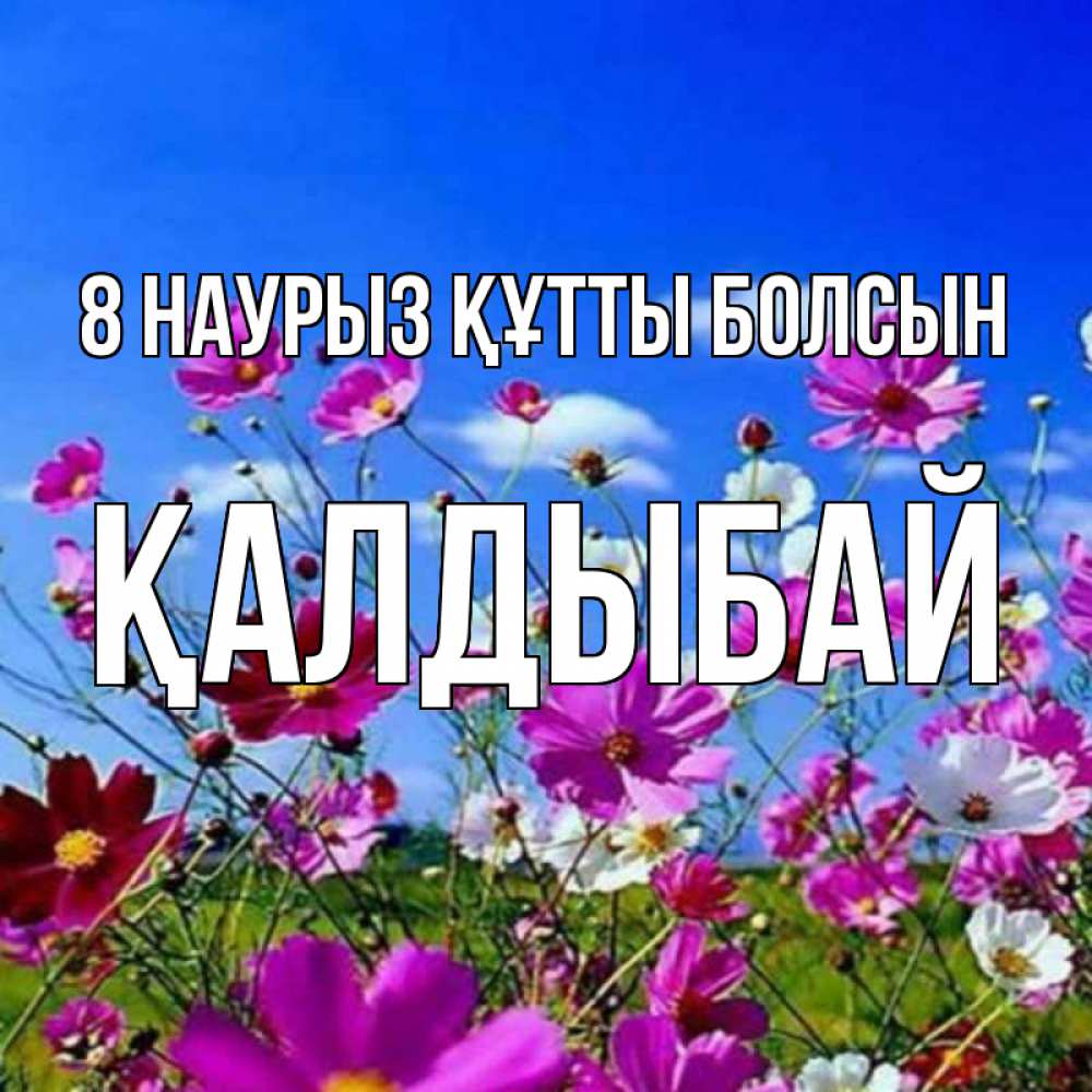 Күн сайын ашық хат с именем, Қалдыбай 8 наурыз құтты болсын цветы Онлайн тегін жүктеп алу тілектері бар керемет карта 