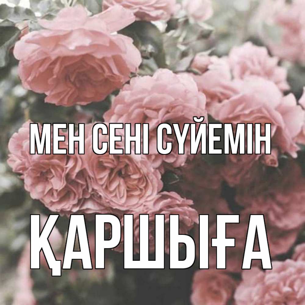 Күн сайын ашық хат с именем, Қаршыға Мен сені сүйемін розы 3 Онлайн тегін жүктеп алу тілектері бар керемет карта 