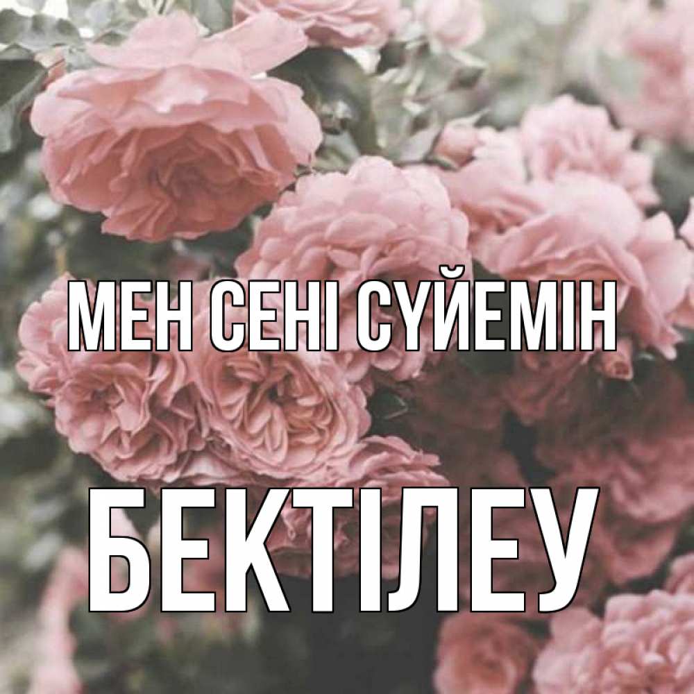 Күн сайын ашық хат с именем, Бектілеу Мен сені сүйемін розы 3 Онлайн тегін жүктеп алу тілектері бар керемет карта 