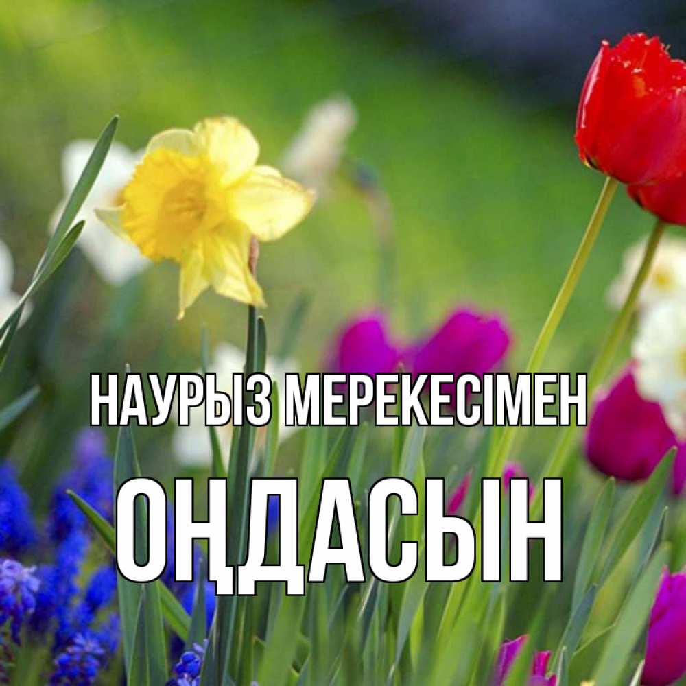 Күн сайын ашық хат с именем, ОҢДАСЫН Наурыз мерекесімен праздник весны наурыз 3 Онлайн тегін жүктеп алу тілектері бар керемет карта 