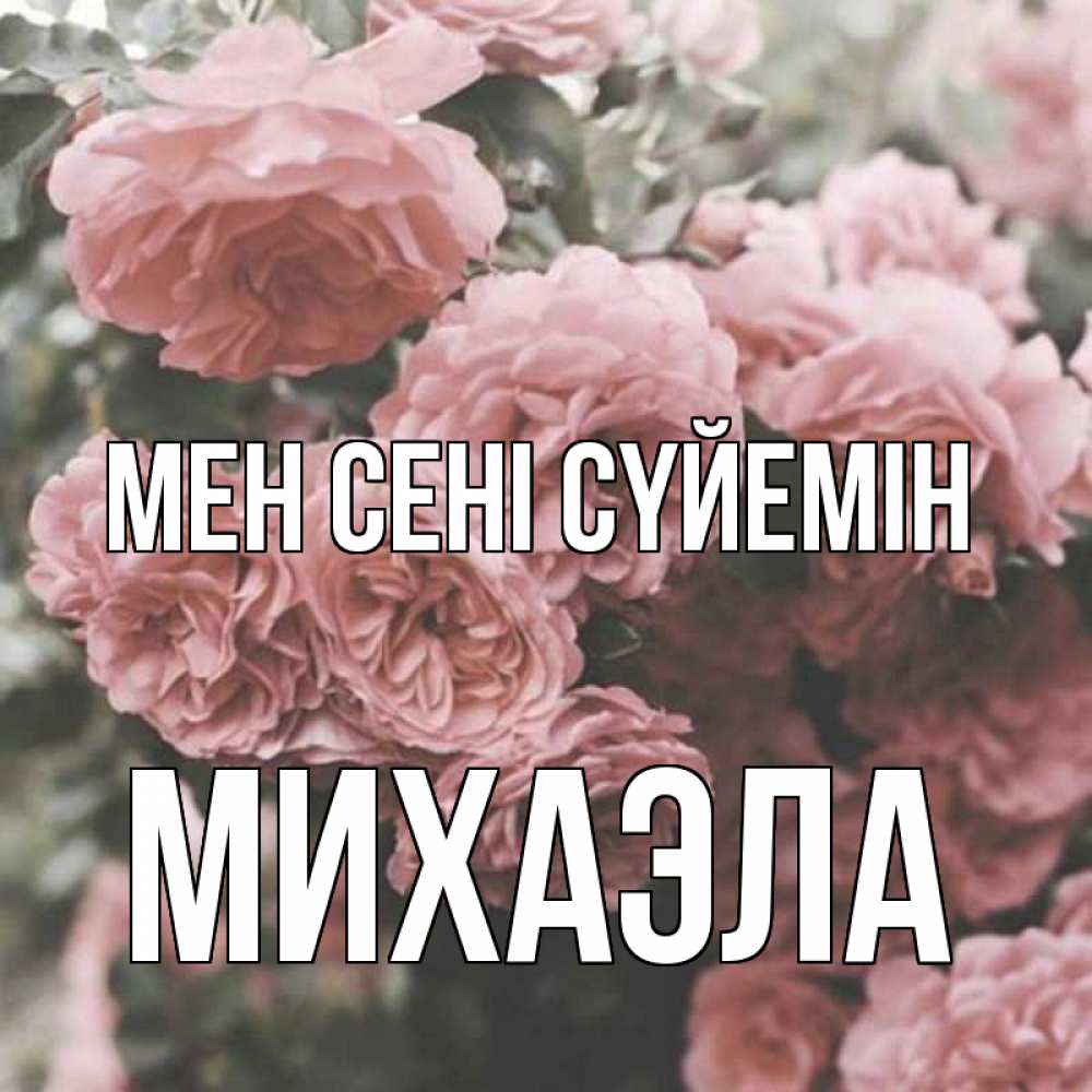 Күн сайын ашық хат с именем, Михаэла Мен сені сүйемін розы 3 Онлайн тегін жүктеп алу тілектері бар керемет карта 