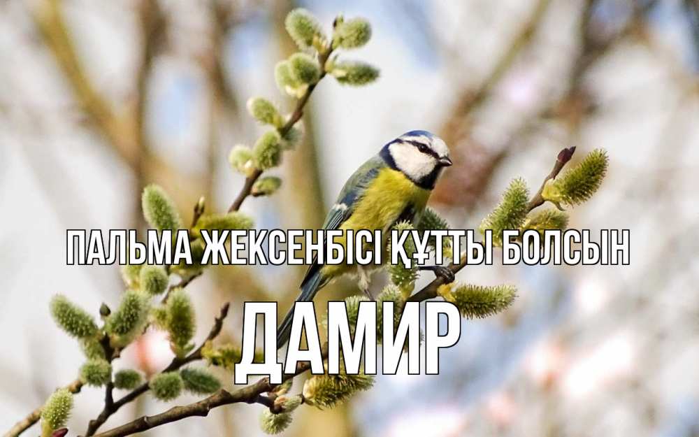 Күн сайын ашық хат с именем, Дамир Пальма жексенбісі құтты болсын верба Онлайн тегін жүктеп алу тілектері бар керемет карта 