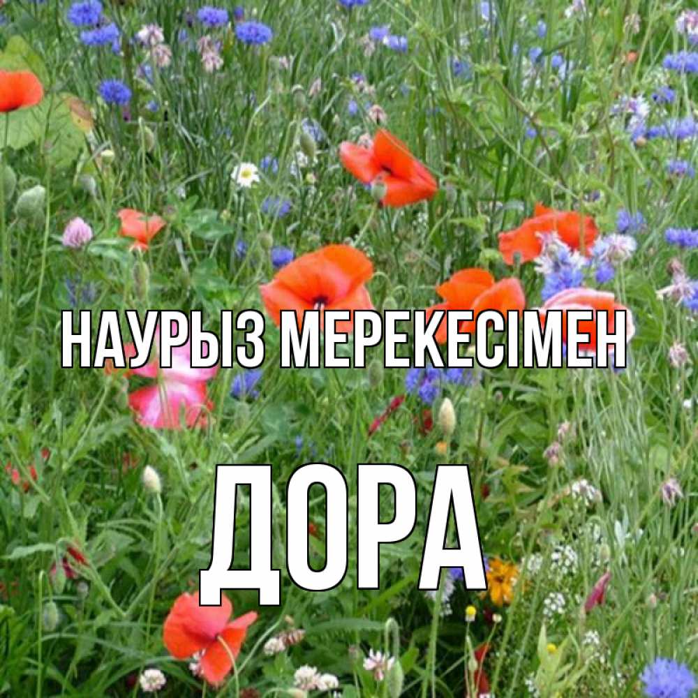 Күн сайын ашық хат с именем, Дора Наурыз мерекесімен праздник весны наурыз супер открытка Онлайн тегін жүктеп алу тілектері бар керемет карта 