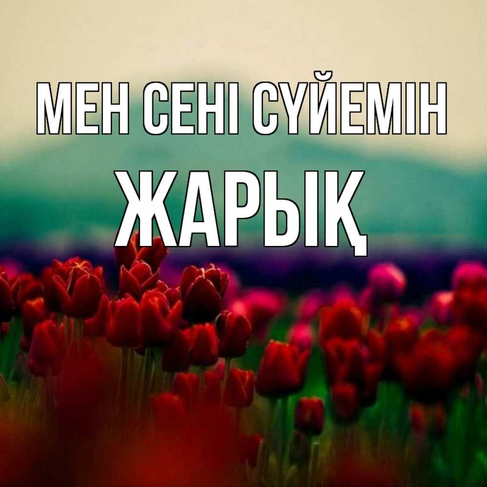 Күн сайын ашық хат с именем, Жарық Мен сені сүйемін тюльпаны 4 Онлайн тегін жүктеп алу тілектері бар керемет карта 