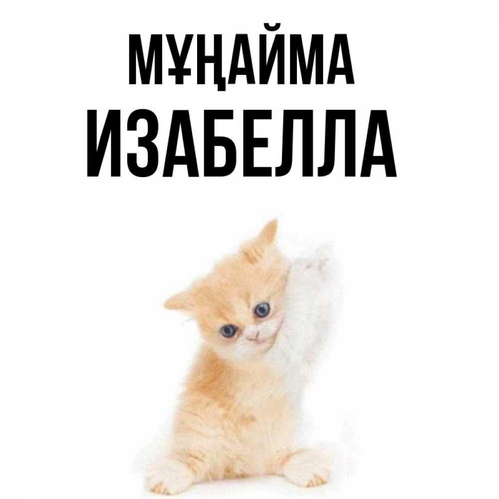 Күн сайын ашық хат с именем, Изабелла Мұңайма просящий кот Онлайн тегін жүктеп алу тілектері бар керемет карта 