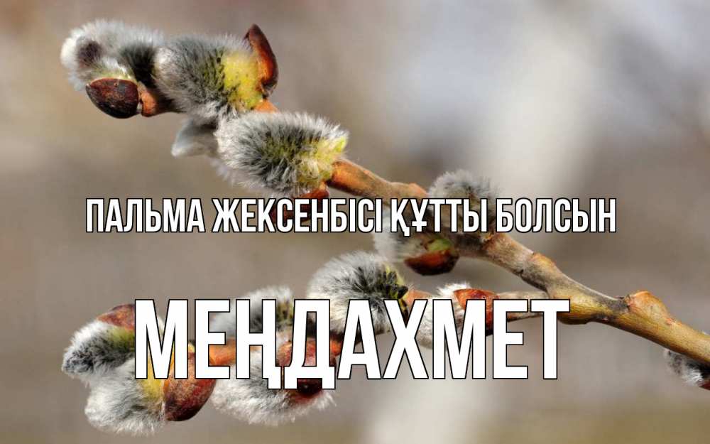 Күн сайын ашық хат с именем, МЕҢДАХМЕТ Пальма жексенбісі құтты болсын Верба Онлайн тегін жүктеп алу тілектері бар керемет карта 
