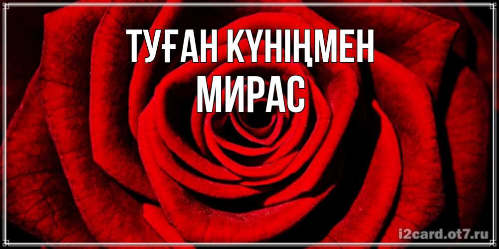 Күн сайын ашық хат с именем, МИРАС Туған күніңмен алая роза Онлайн тегін жүктеп алу тілектері бар керемет карта 