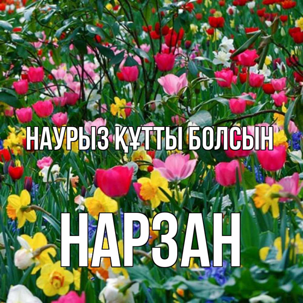 Күн сайын ашық хат с именем, НАРЗАН Наурыз құтты болсын с наурызом поздравления для женщины Онлайн тегін жүктеп алу тілектері бар керемет карта 
