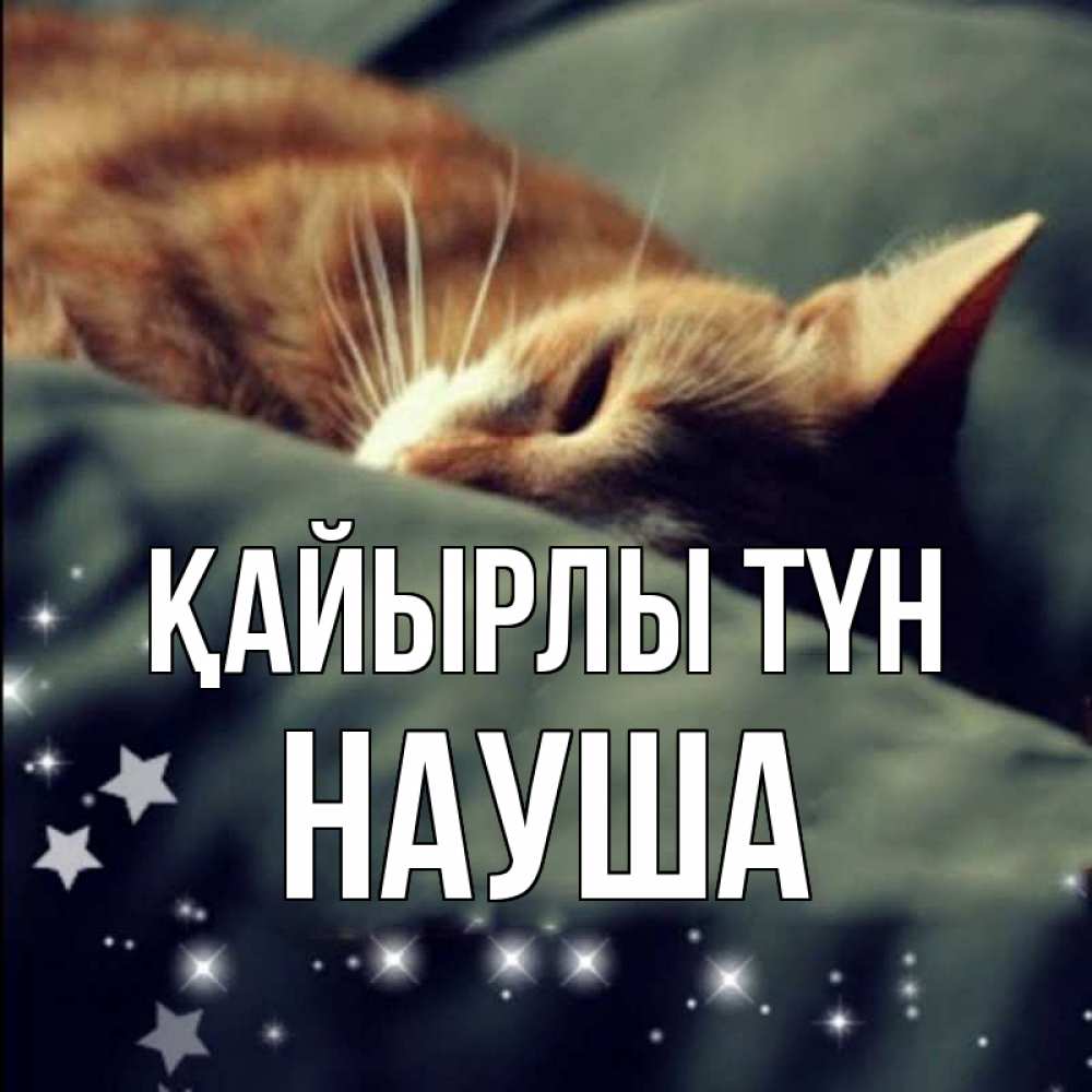 Күн сайын ашық хат с именем, НАУША Қайырлы түн кроватка Онлайн тегін жүктеп алу тілектері бар керемет карта 