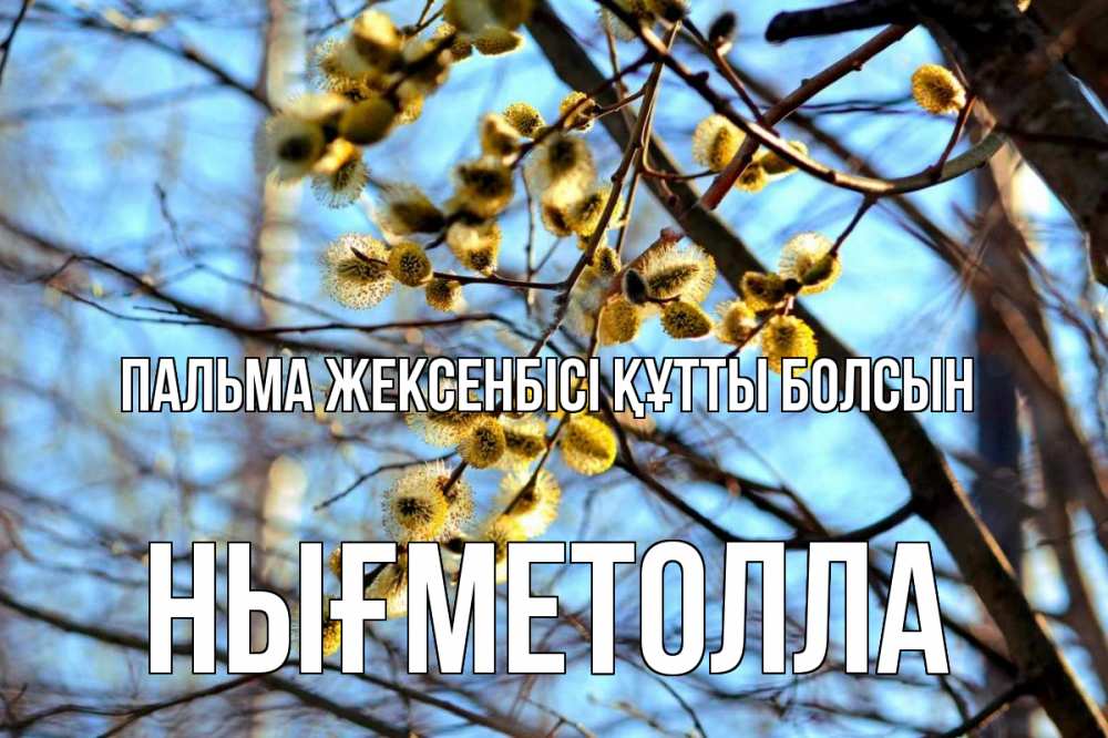 Күн сайын ашық хат с именем, НЫҒМЕТОЛЛА Пальма жексенбісі құтты болсын верба Онлайн тегін жүктеп алу тілектері бар керемет карта 