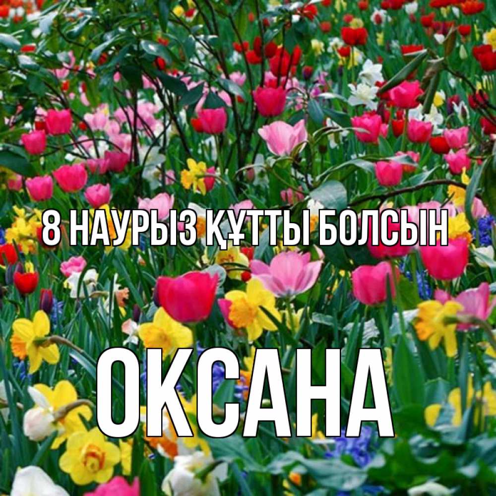 Күн сайын ашық хат с именем, Оксана 8 наурыз құтты болсын с международным женским днем поздравления для женщины Онлайн тегін жүктеп алу тілектері бар керемет карта 
